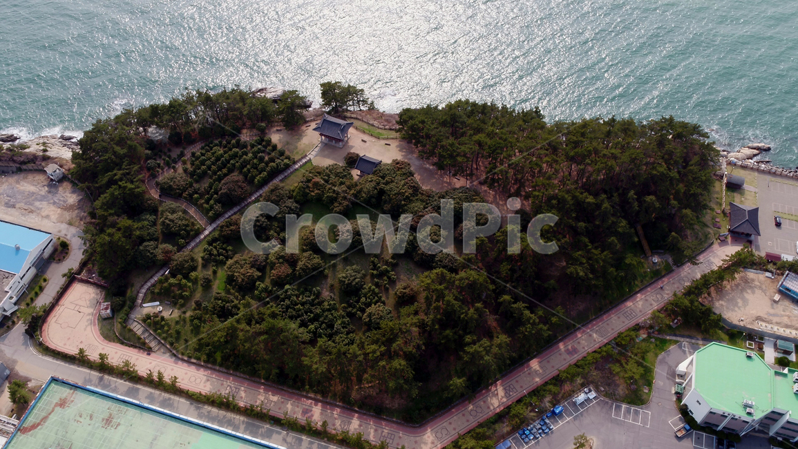 동백,동백정,동백꽃,꽃,자연,풍경,바다,flower,nature,landscape,sea,경치