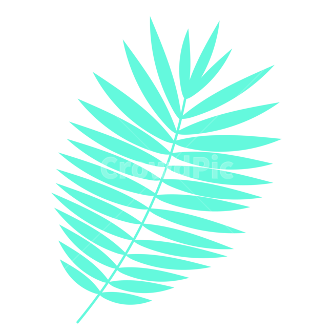 일러스트,여름,야자수,식물,자연,그래픽,일러스트레이션,nature,graphic,illsutration,summer,식물,자연,plants,nature,누끼,remove background,그래픽,일러스트레이션,graphic,illustration
