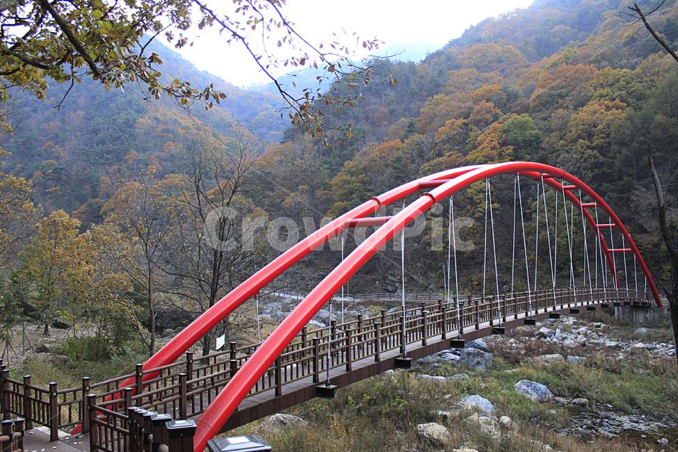 가을,풍경,단풍,다채로운,산,산맥,등산,등산로,다리