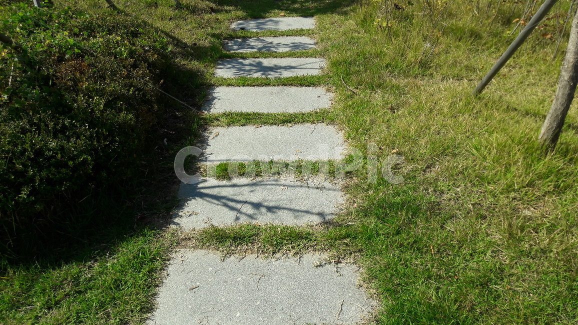 공원,길,거리,돌길,마당,자연,풍경,nature,landscape,flagstone,판석,path,통로