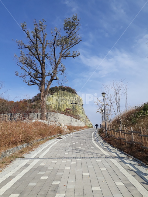 road,도로,tarmac,asphalt,아스팔트