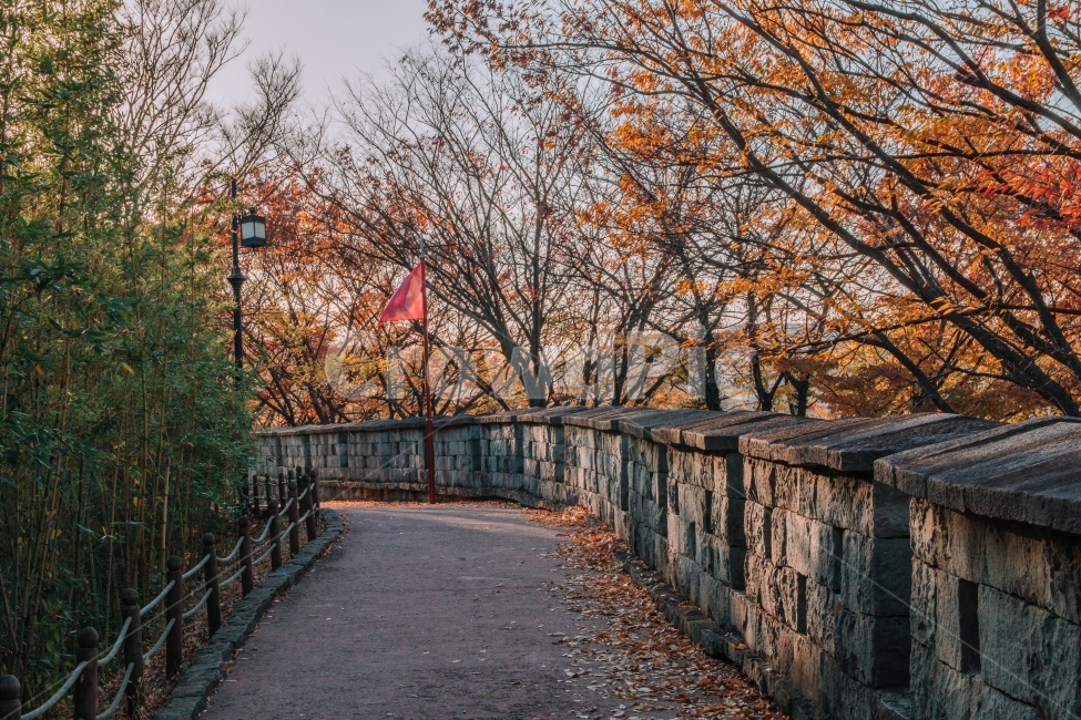 진주성,성,가을,노을,한국적,전통,성벽,감성,낙엽,단풍,나무,길,가을,계절,fall,autumn,season,한국전통,한국문화,korean traditional,korean culture,랜드마크,landmark,tourist attraction,한국랜드마크,한국관광지,한국명소,korea landmark,korea tourist attraction