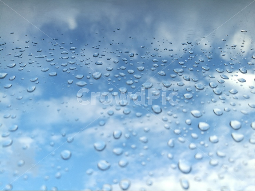 빗방울,파란하늘,여름,구름,자연,근접촬영,아침,파랑,비,비오는날,rain,rainy