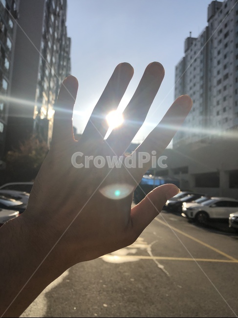 손,아침,햇살,아침햇살,눈부심,감성,hand,morning,sun,emotion,sensitivity