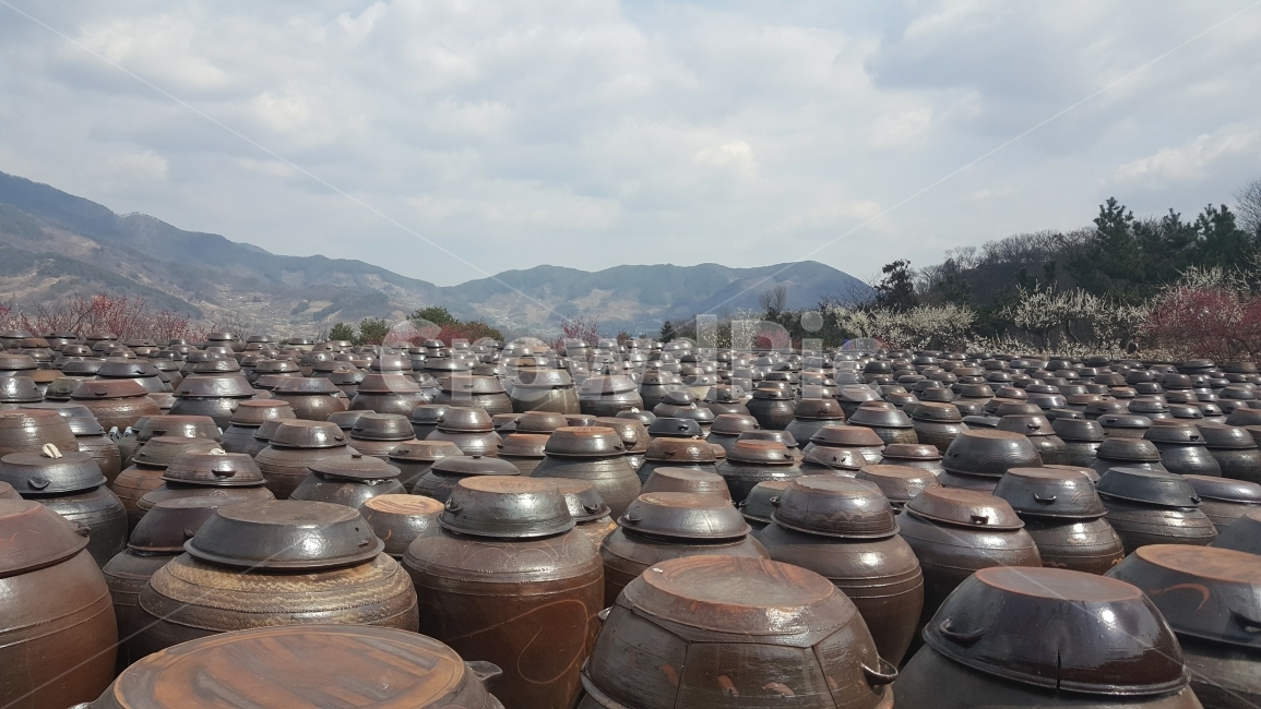 항아리,장독대,하늘,풍경,구름,광양매화마을,한국전통,한국문화,korean traditional,korean culture