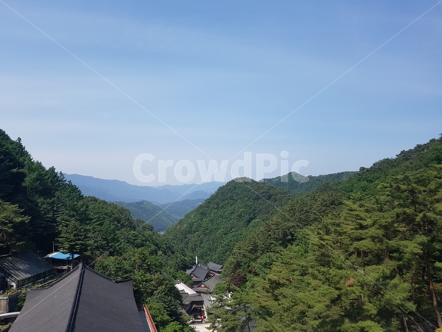 산,자연,풍경,산새,나무,자연,풍경,nature,landscape