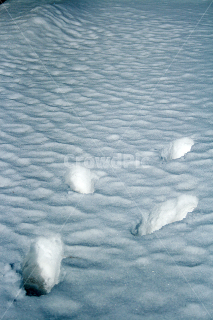 겨울,눈,발자국,winter,snow,겨울,계절,winter,season