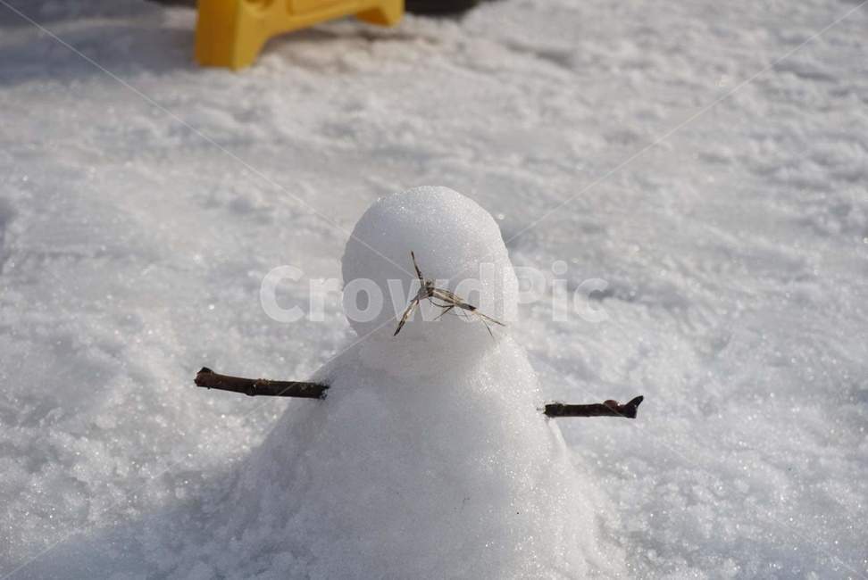 nature,자연,outdoors,옥외,snow,snowman,눈사람,winter,겨울,사람,human,겨울,계절,winter,season