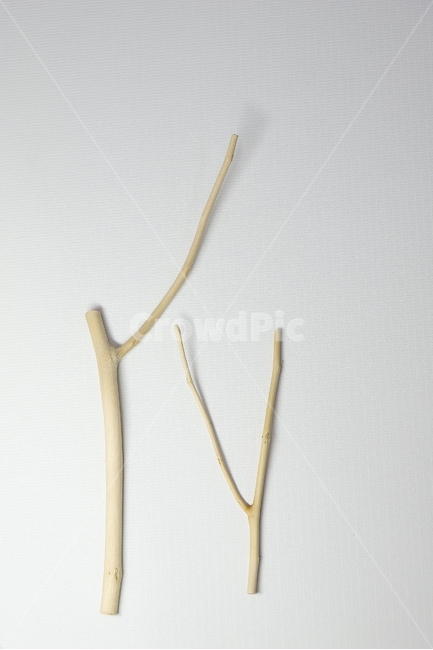 나무,뽕나무,공예재료,장식재료,trees,mulberrytrees,wood,craftmaterials,decorativematerials