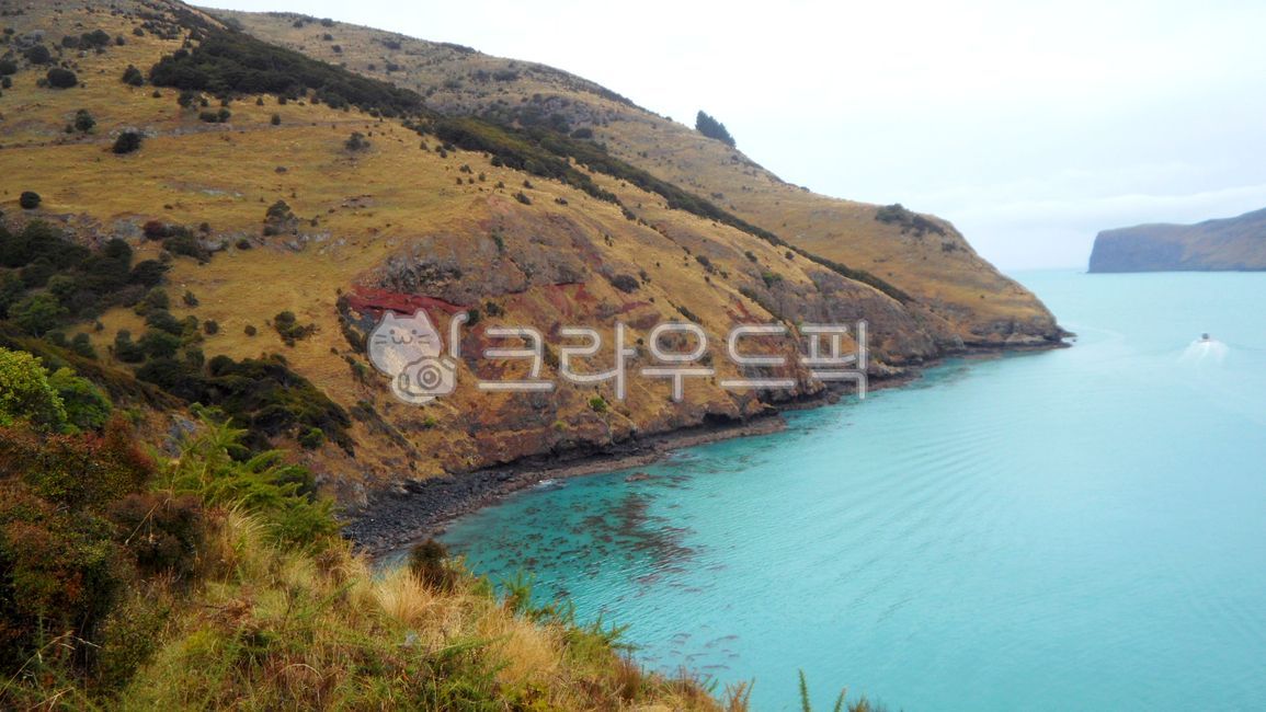 뉴질랜드,자연풍경,배경,바다,자연,산,언덕,잔디,경치,물,하늘,나무,목장,옥외,경사,녹색,골짜기,고원,산맥,연안,목초지,고지,산악지형,자연경관,남섬,해외,외국,해외자연풍경,외국자연풍경,newzealand,naturelandscape,background,sea,nature,mountain,hill,grass,landscape,water,sky,meadow,tree,pasture,outdoors,slope,green,valley,plateau,mountainrange,coast,grassland,highland,mountainouslandforms,naturalscenery,southisland,overseas,foreign,overseasnaturalscenery,foreignnaturalscenery,해안선,shoreline,곶,promontory