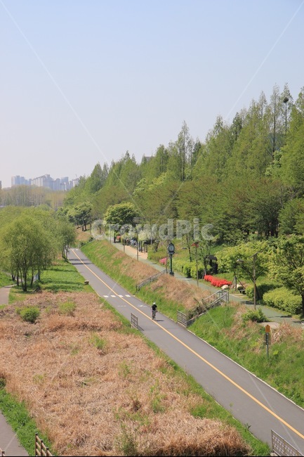 봄이미지,산책길,산책,봄,맑은하늘,하늘사진,하늘이미지,자전거,자전거길,천,물길,물,강,강변,푸른하늘,자연,풍경,nature,landscape,한국자연풍경,한국자연경관,korea nature landscape,도시,city,한국도시풍경,한국도시경관,korea cityscape,road,도로,plant,식물,tree,나무,fir,전나무,abies,아비