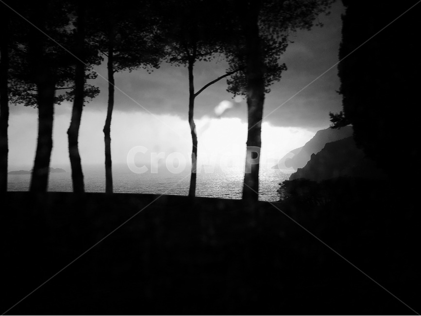 나무,바다,구름,비,흐림,그림자,자연,풍경,nature,landscape,흑백,모노톤,monochrome,black and white,weather,날씨