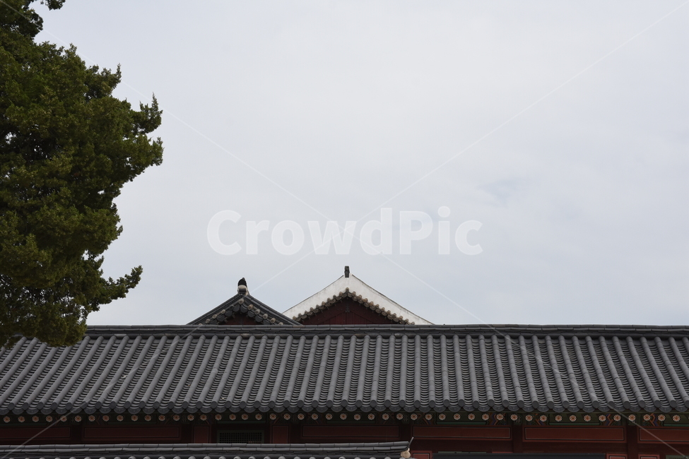 경복궁,궁,하늘,대한민국,전통,한국전통,한국문화,korean traditional,korean culture,건축물,건물외관,exterior,building,structure,architecture,construction
