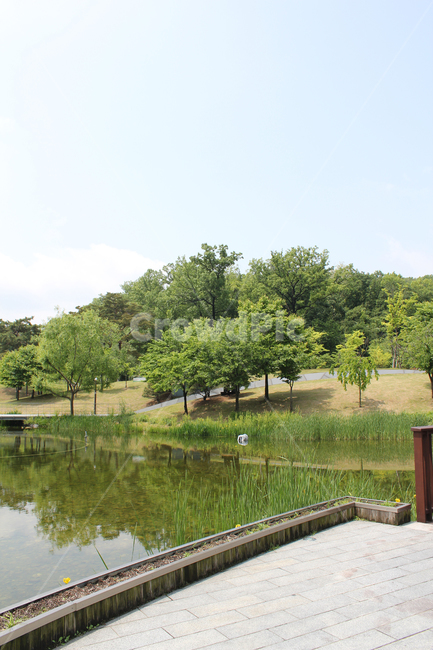 북서울꿈의숲,공원,한국,서울,정원,그린,녹색,초록색,나무,잔디,풀,낮,자연,숲,산,물풀,호수,연못,연못가,호숫가,생태공원,생태정원,언덕,보도블럭,물,자연,풍경,nature,landscape,outdoors,옥외,water