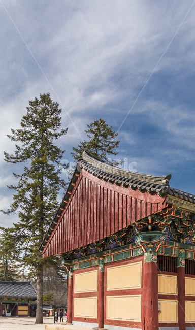 법주사,천왕문,문화유산,사찰,고찰,관광지,불교,한국전통,한국문화,korean traditional,korean culture,건축물,건물외관,exterior,building,structure,architecture,construction