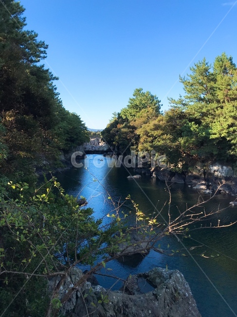 제주,쇠소깍,자연,풍경,nature