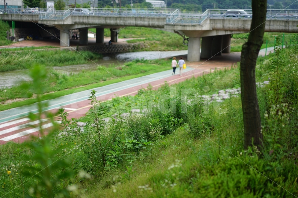 	산책,데이트,연인,커플,걷기,나들이,산보,러브,사랑,애정,인연,거리,일상,커플스냅,스냅,길,둘,여름,계절,summer,season,도시,풍경,city,landscape,road,도로,freeway,고속 도로