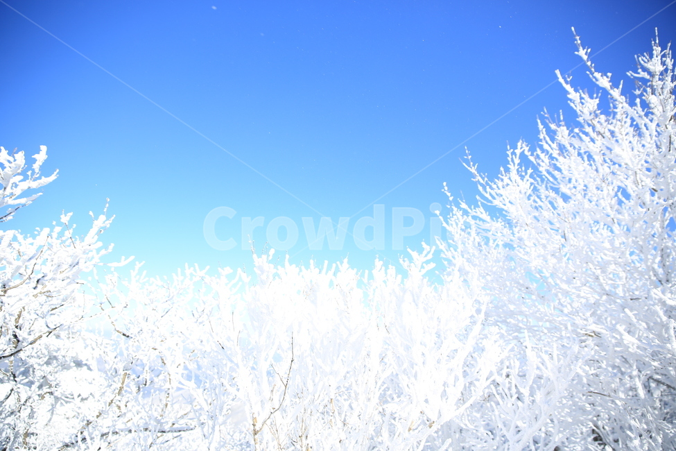 동화,겨울동화,상고대,겨울,덕유산,겨울,계절,winter,season