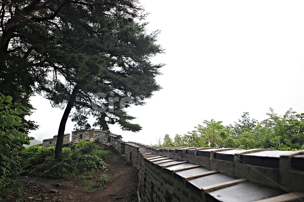 남한산성,성,성곽,길,둘레길,벽,숲길,숲,담,돌담,풍경,여름