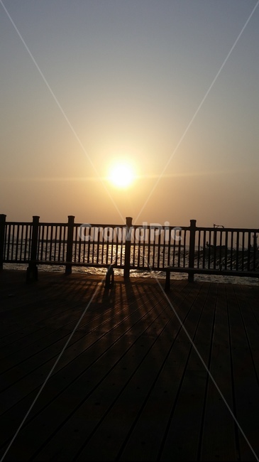 난간,해,일몰,sunset,지는해