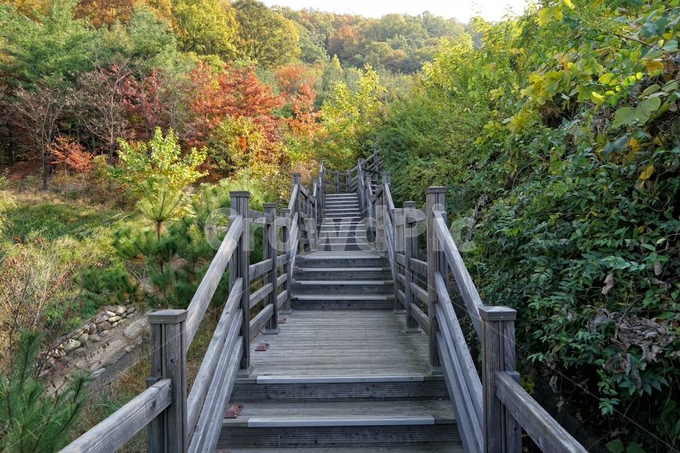 산책로,등산,나무길,하이킹,공원,걷기,자연,흔적,여행,나무,배경,보도,풍경,관광,모험,트랙,방향,잔디,갈색,긴장,바닥,다리,구조,등산로,길,가을,계절,fall,autumn,season,자연,풍경,nature,landscape,handrail,난간,banister,railing,bridge,boardwalk,building,건물