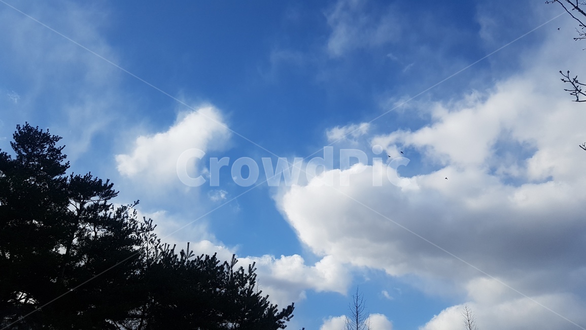 nature,자연,outdoors,하늘,날씨,sky,weather,옥외