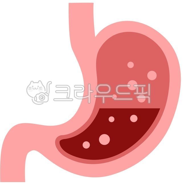 stomach,gastrectomy,위,위장,장기,사람장기,인체,인체장기,anatomy,위일러스트,위장일러스트,위그림,인체학,organ,stomachicon,위아이콘