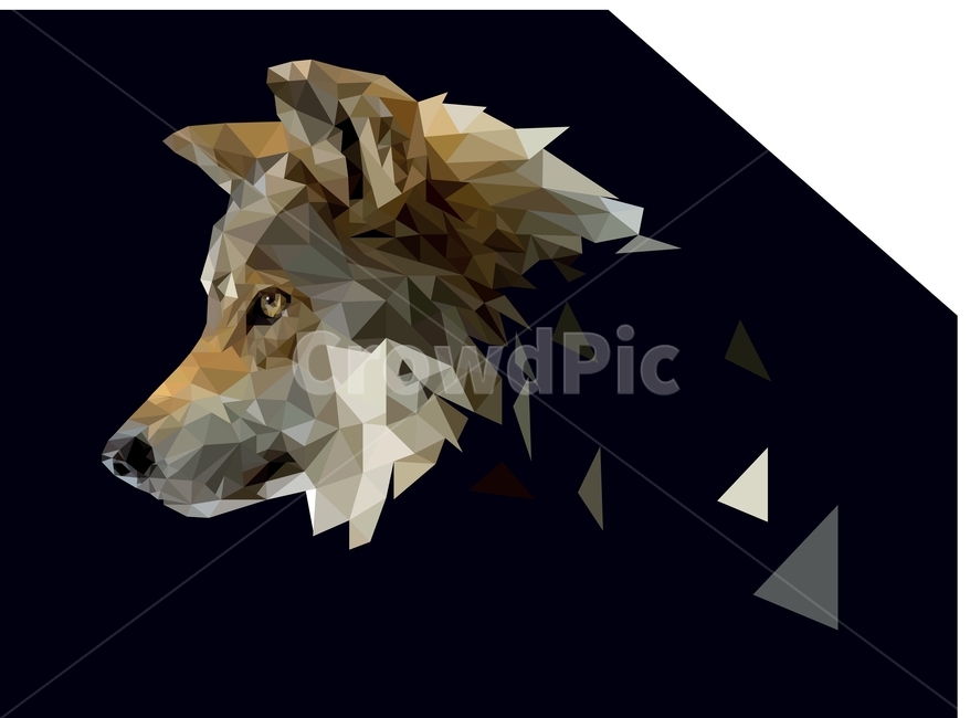 polygon art,polygon,A wolf,animal,fragmented,wild