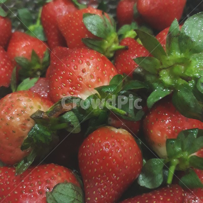 딸기,strawberry,fruit,과일,빨간색,초록색,맛있는,먹음직한,delicious,음식,식재료,요리,food,cook,meal,dishes,food reserves,과일,열매,fruit