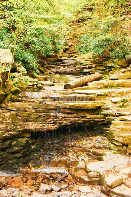 계곡,야외,계단식계곡,물,자연,자연,풍경,nature,landscape