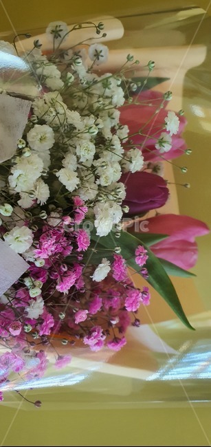 꽃,식물,꽃다발,축하,생명,컬러,flower,nature,hydrangea,birthday,colorful,background,decoration,day,florist,beautiful,arrangement,fresh,purple,festive,mix,wedding,decor,composition,top,botanic,holiday,concept,pink,present,bunch