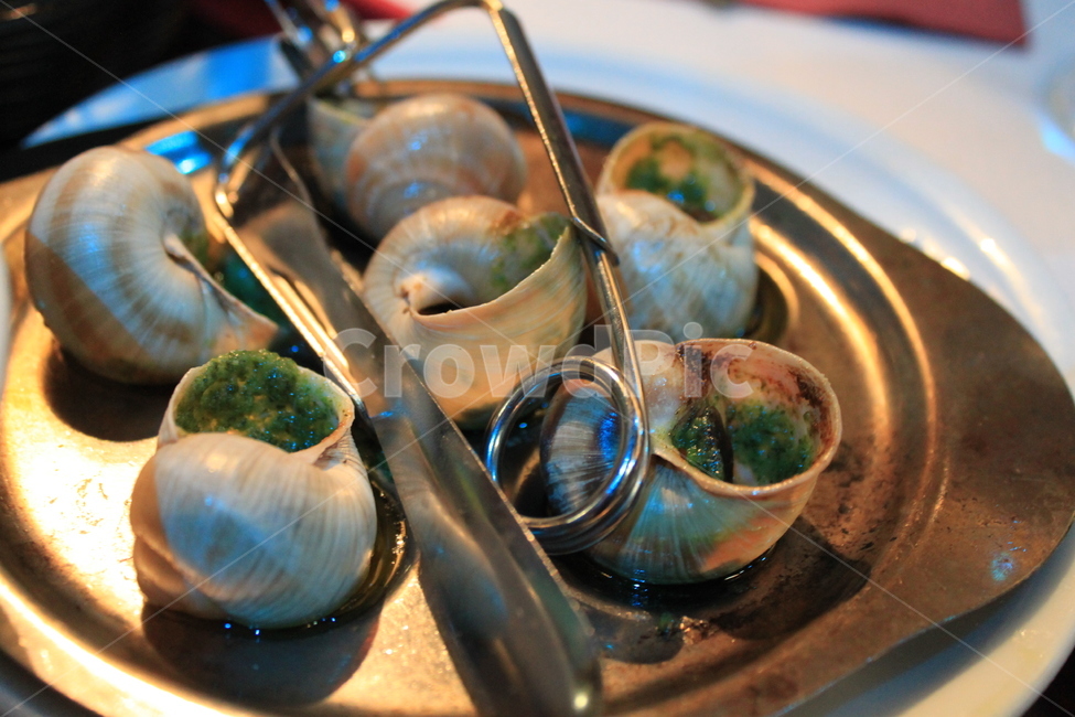 French cuisine,fly,Snail dish,europe,food,Escargot