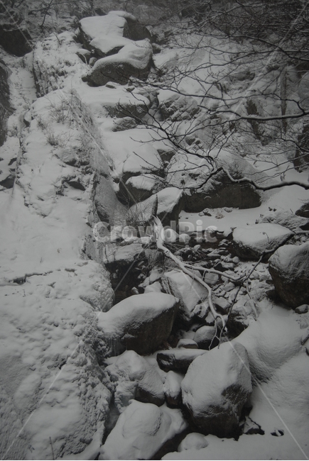 오대산,탐방로,눈,등산로,국립공원,겨울,계절,winter,season,자연,풍경,nature,landscape