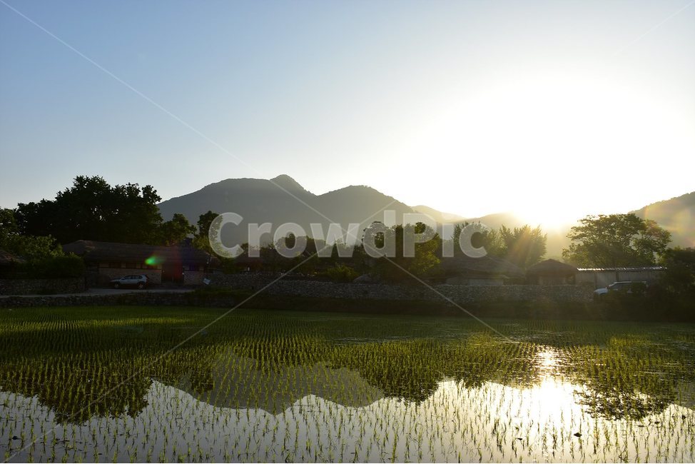외암,민속,마을,풍경,힐링,논,햇살,landscape,시골,마을,풍경,landscape,country,rural,town,산업,industry,industrial,농업,농사,agriculture,farming,farming industry