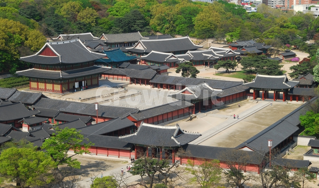창덕궁,세계문화유산,사적,문화유산,고궁,궁궐,궁,문화재,풍경,인정전,숲,하이앵글,명소,관광지,서울,한국,전통,한국전통,건축,건축물,고건축,전통건축,한옥,진선문,인정문,숙장문,한국전통,한국문화,korean traditional,korean culture,랜드마크,landmark,tourist attraction,한국랜드마크,한국관광지,한국명소,korea landmark,korea tourist attraction