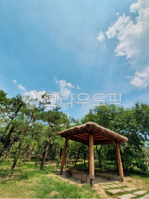 sky,heat,forest,Namsan,shelter,porch,hut,clear,clouds,Hanok village,trees,summer,patio,sunlight,courtyard,grass,land,season,entrance,landscape