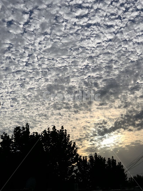 양털구름,구름,배경,하늘,해질녘