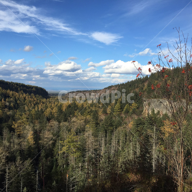 하늘,구름,숲,가을,산,산정상,바람,풍경,여행,sky,cloud,forest,fall,autumn,mountain,mountaintop,wind,scenery,view,blue,가을,계절,fall,autumn,season,자연,풍경,nature,landscape,해외,외국,세계,foreign,oversea,world,세계자연풍경,해외자연풍경,외국자연풍경,world nature landscape,tree,나무,plant,식물,abies,아비,fir,전나무