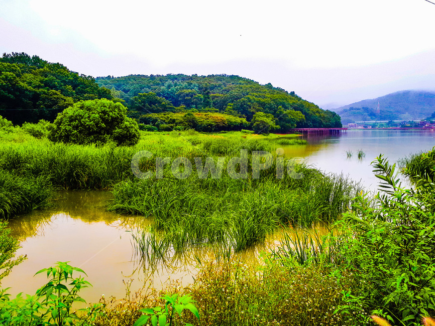 부천시,상동호수공원,호수공원,호수,풀밭,녹음,숲,나무,잡초,수초,전경,전망,풍경,경치,풍광,산등성이,푸른숲,산책로,다리,경기도,자연,컴퓨터배경사진,배경사진,배경,풍경사진,백그라운드,배경이미지,풍경이미지,엽서사진,자연,풍경,nature,landscape,water,물,outdoors,옥외,land,땅