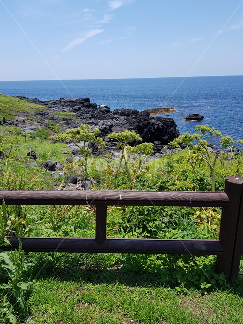 마라도,자연,풍경,난간,바다