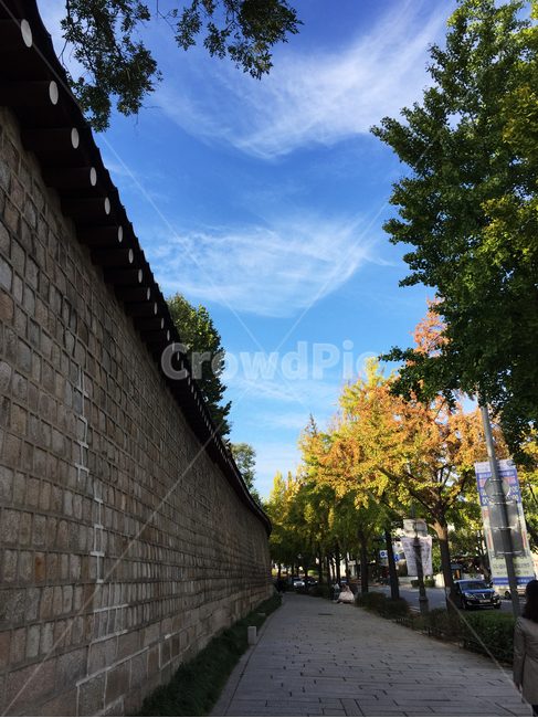 돌담길,한국전통,하늘,맑은,청명한,가을,단풍,가을,계절,fall,autumn,season,walkway,보도,path,통로