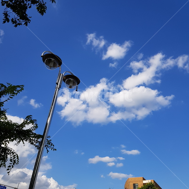 summer,sky,outdoor,여름,구름,하늘,파란,blue,cloud,white,tree,streetlight,가로등