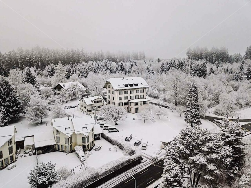 스위스,switzerland,눈,마을,나무,집,nature,자연,tree,전나무,outdoors