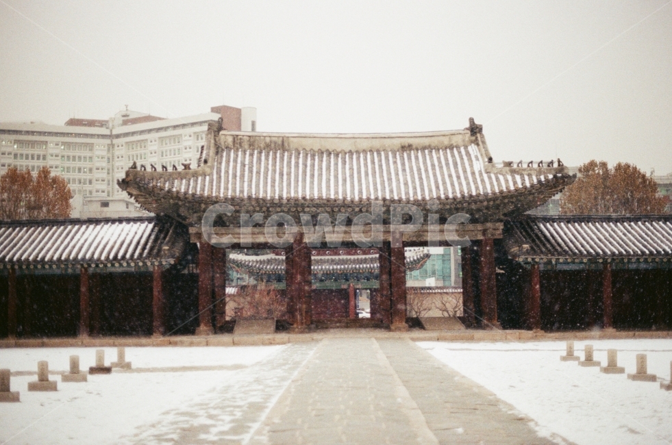 눈,겨울,창경궁,전통,감성사진,서울,대한민국,필름사진,눈입자,겨울사진,몽환,눈내리는,따뜻한,풍경,고요한,아늑한,snow,winter,tradition,film,sensitive,warm,landscape,cozy,korea,seoul,겨울,계절,winter,season,한국전통,한국문화,korean traditional,korean culture,랜드마크,landmark,tourist attraction,한국랜드마크,한국관광지,한국명소,korea landmark,korea tourist attraction,감성,sensible,feeling