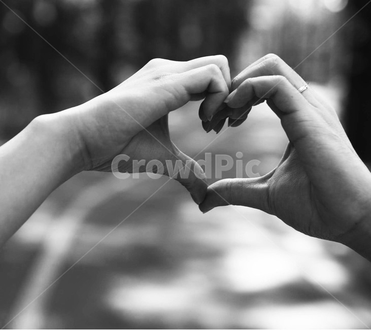 결혼,사랑,커플,LOVE,couple,손하트,손,heart,연애,하트,흑백,marry,연인,lover,emotion,감정,연출,컨셉,feeling,hands,blackandwhite,흑백사진,사람,marriage,사람,인물,인간,human,person,신체일부,몸,body,연인,커플,사랑,lover,couple,감정표현,기분,feeling,emotion,흑백,모노톤,monochrome,black and white