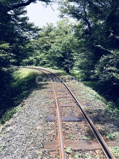 철길,기찻길,숲속,기차,숲속길