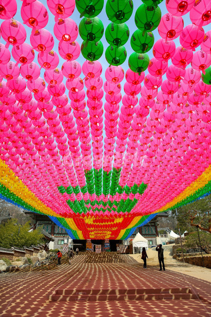 휴식,절,연등,종교,등불,행사,종교,신앙,religion,belief,faith,축제,행사,festival,carnival,event