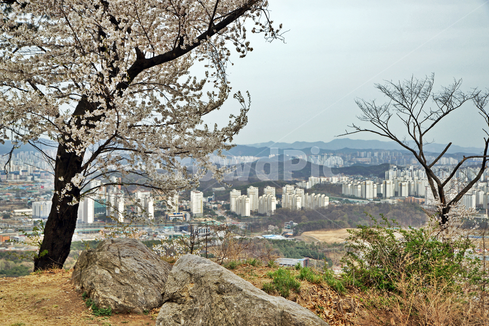 독산성,세마대지,오산,삼국시대,권율장군,성곽,사적제140호,성곽길,오산시
