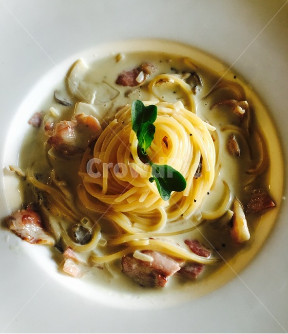 파스타,까르보나라,pasta,스파게티,면요리,레스토랑,양식,음식,식재료,요리,food,cook,meal,dishes,food reserves,양식,서양음식,서양요리,western food,western dishes,western meal,western cook