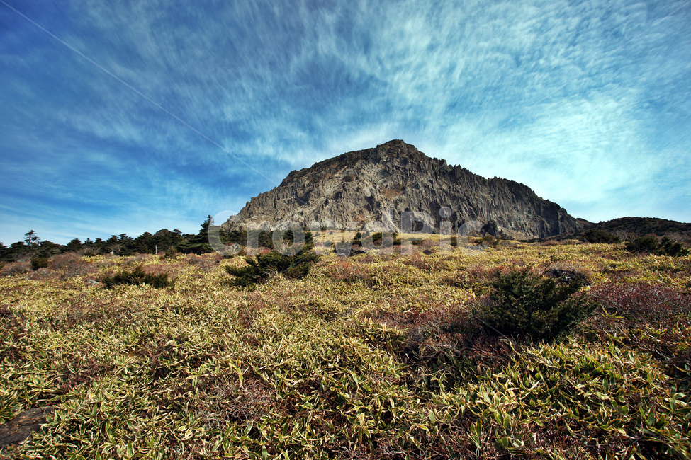 남벽,한라산,제주도,한라산국립공원,돈내코코스,조릿대,관목,푸른하늘,구름,암벽